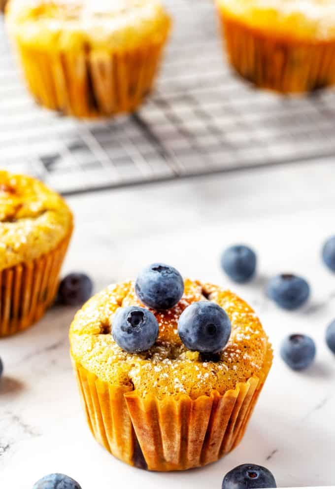 Photo of a keto blueberry muffin topped with fresh blueberries and surrounded by more blueberries and muffins.