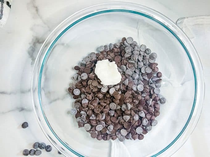 Photo of a bowl of chocolate chips and coconut.