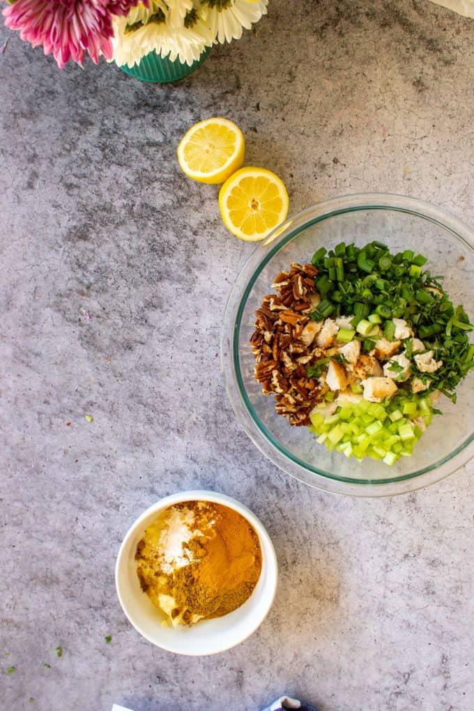 Photo of chicken, pecan, and cilantro in a bowl with a smaller bowl of mayonnaise next to it. 